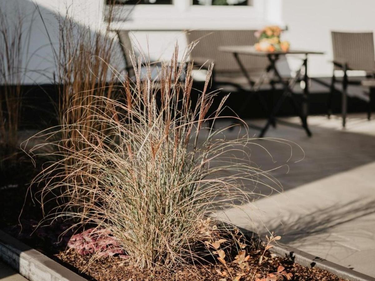 Rheinzeit-Weisweil Apartment Weisweil  ภายนอก รูปภาพ