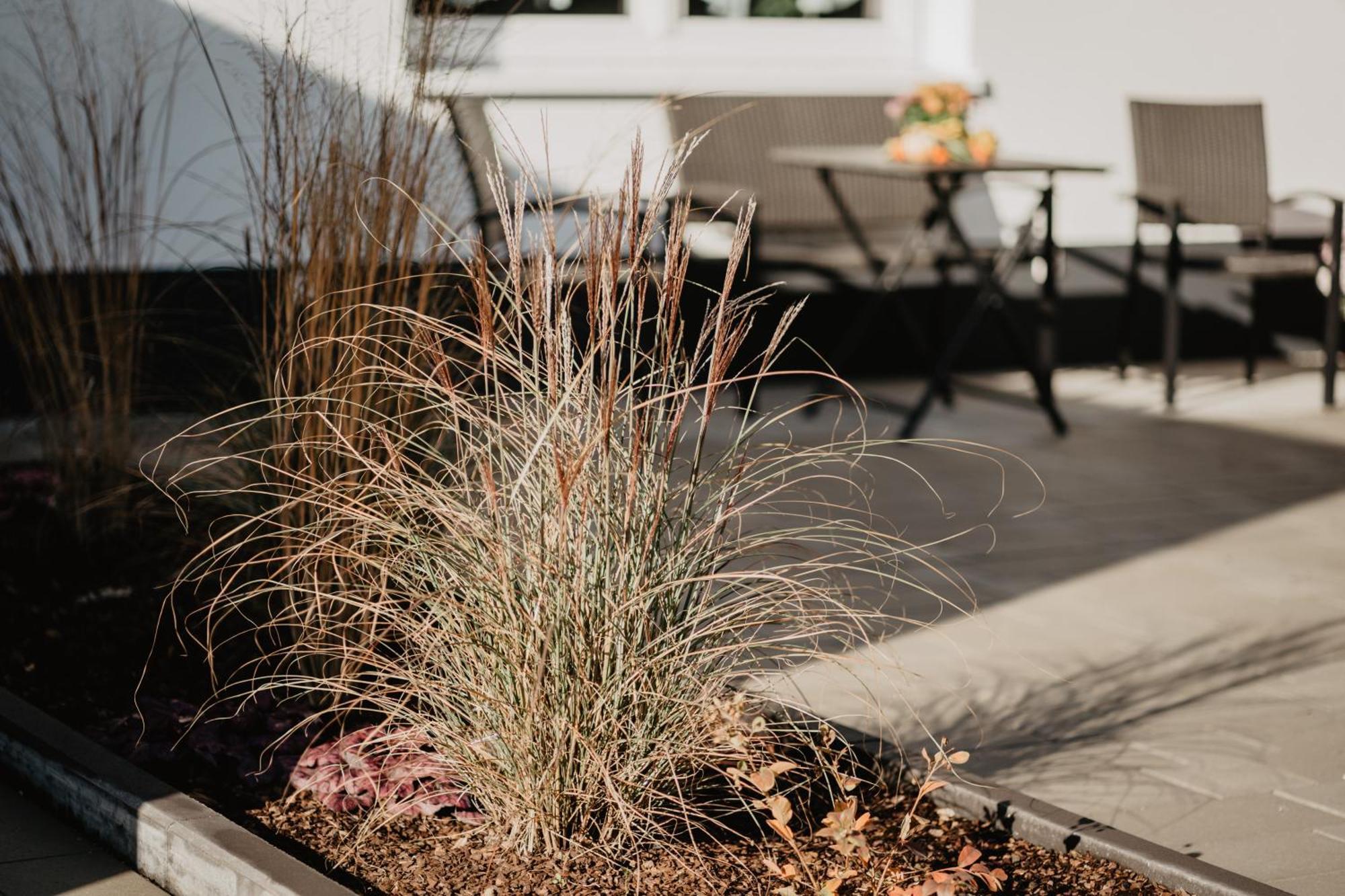 Rheinzeit-Weisweil Apartment Weisweil  ภายนอก รูปภาพ